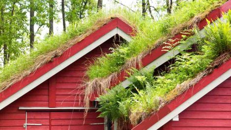 Matériaux pour toiture verte