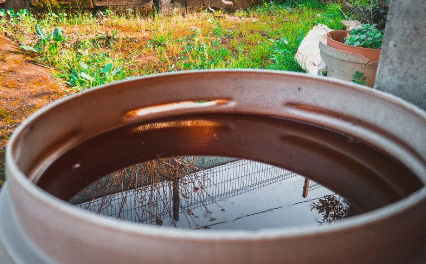 recuperation_eau_de_pluie