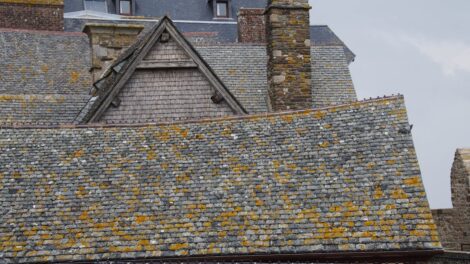 traitement efficace contre la mousse sur les toits pour protéger et prolonger la durée de vie de votre couverture.