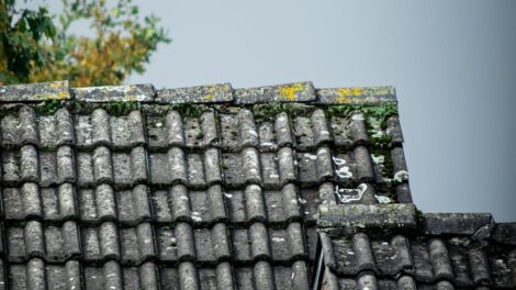 service professionnel d'élimination de la mousse sur toiture pour protéger et prolonger la durée de vie de votre toit.