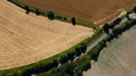 découvrez l'importance du balisage obligatoire des limites foncières pour sécuriser et délimiter clairement votre propriété selon la réglementation en vigueur.